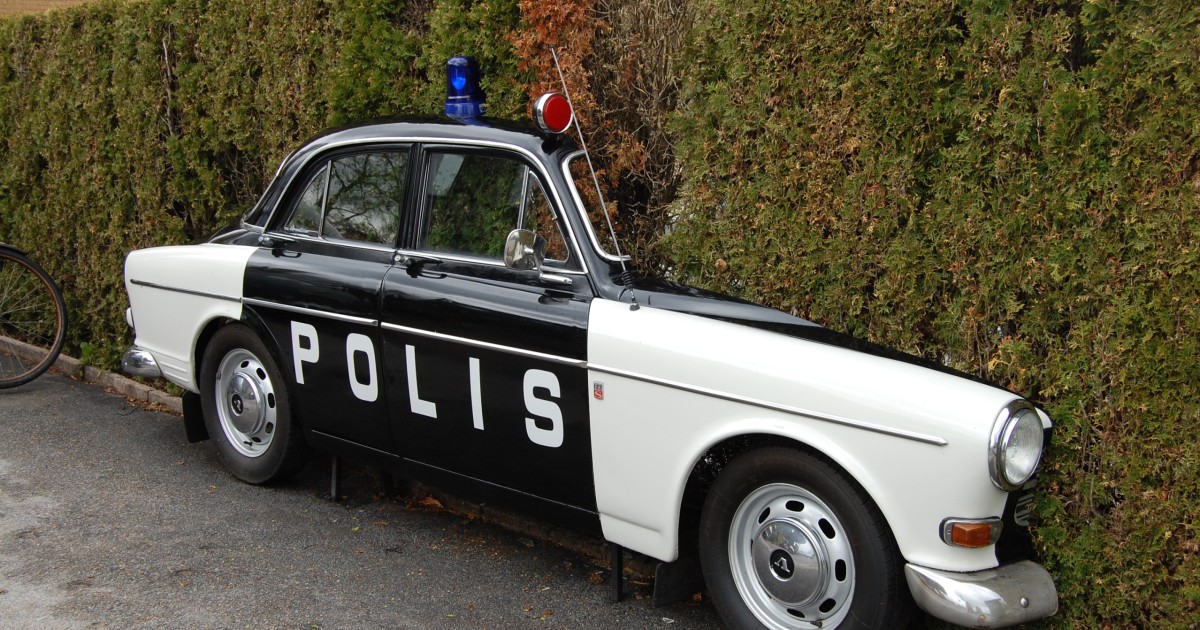 Bylingen i busken | Klassiker
